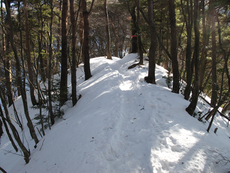 20180209hike (73)